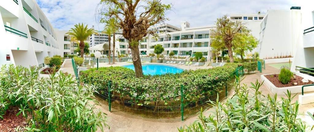 Optimist Playa De Las Americas Apartment Exterior foto